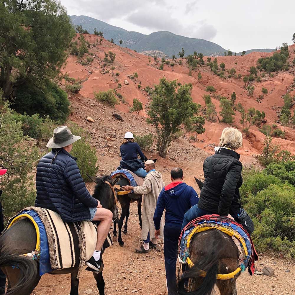 Moroccan Food Tour, Kitchen to Table