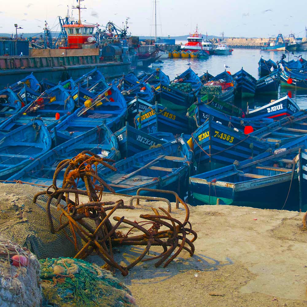 Morocco Food Tour, Kitchen to Table