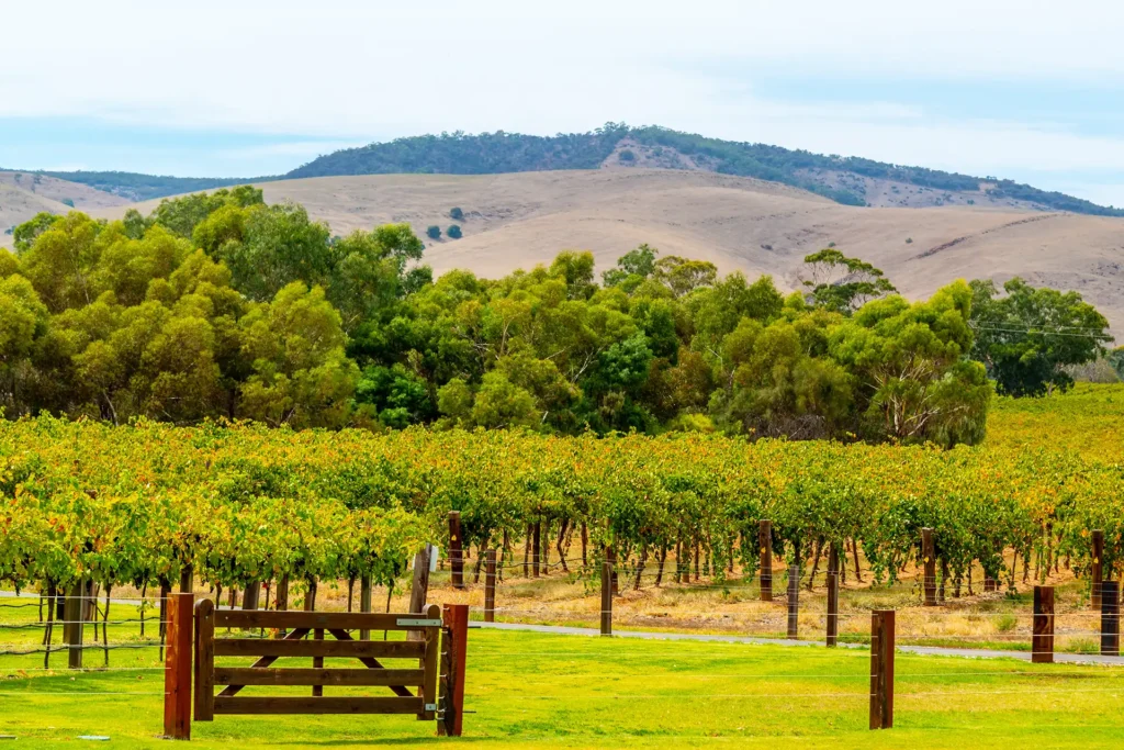 Food Tour, Orange and Southern Highlands, Kitchen to Table